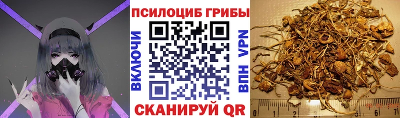 Галлюциногенные грибы мухоморы  купить закладку  ссылка на мегу зеркало  Саянск 